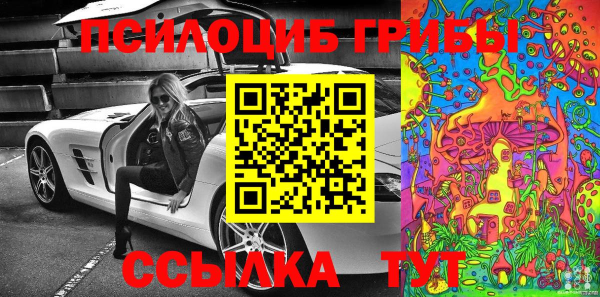 Галлюциногенные грибы Psilocybine cubensis Кировск