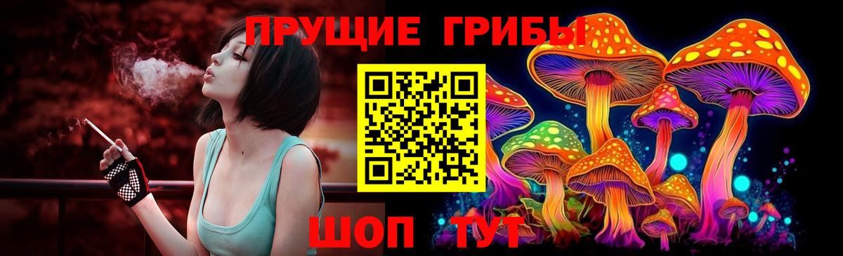Кировск  Псилоцибиновые грибы мицелий  Вход с VPN 