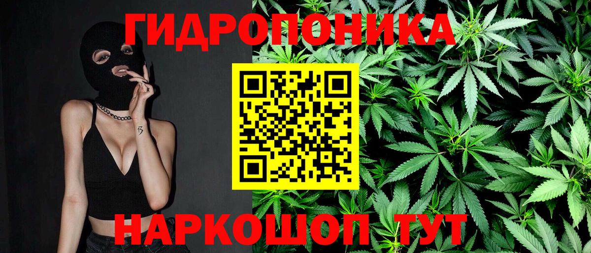 Шишки марихуана Amnesia Кировск